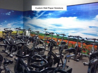 <b>Custom Wallpaper Solutions & Custom Vinyl Graphics</b> Photo